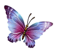 butterfly_2015_6a